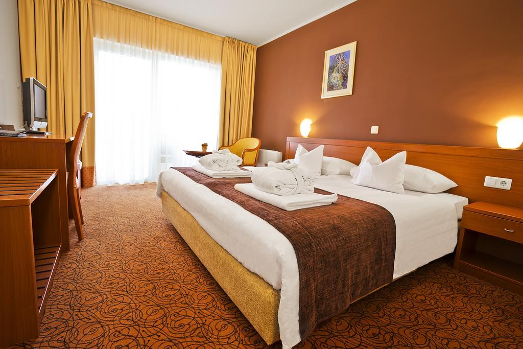 Spa & Wellness Hotel Pinia Малинська Номер фото